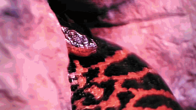 a close up of a leopard print shirt with a ring on it
