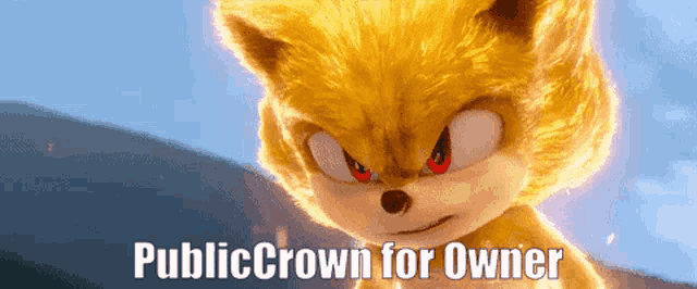 a close up of a cartoon character with the words public crown for owner below it