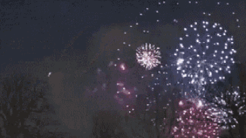 a bunch of fireworks are exploding in the night sky .