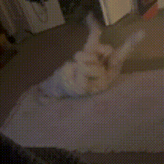 a blurred image of a person laying on a table