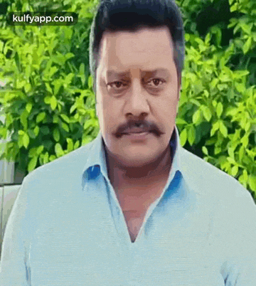 a man with a mustache wearing a blue shirt is standing in front of a bush .