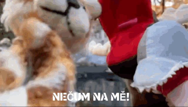 a blurred image of two stuffed animals with the words necum na me in the upper left corner