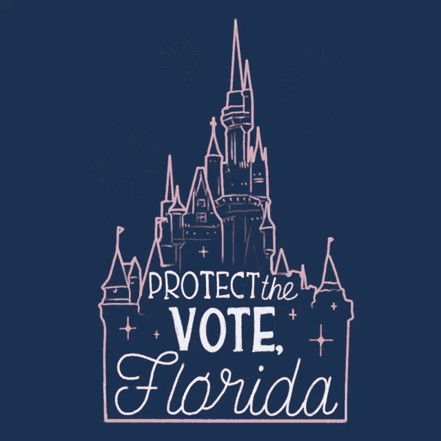a poster that says " protect the vote florida "