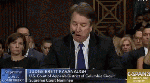 Brett Kavanaugh Senate GIF - Brett Kavanaugh Senate GIFs