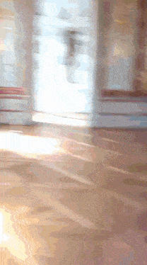 a blurry picture of a wooden floor with a light shining through the window