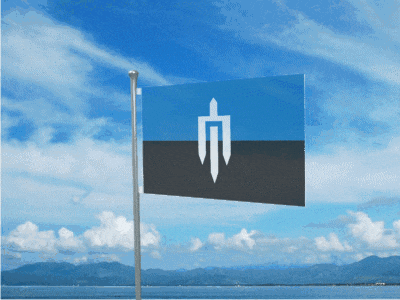 a blue and black flag with a white spear on it