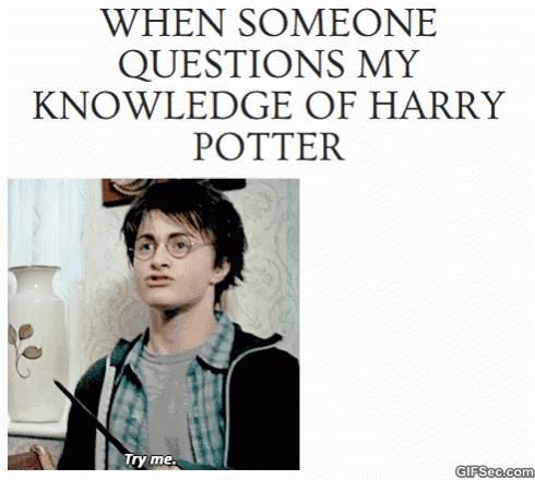 Harry Potter Funny GIF - Harry Potter Funny Knowledge GIFs