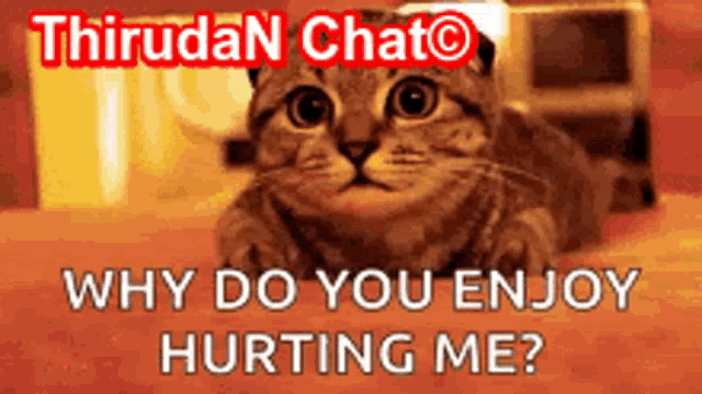 a cat is laying on the floor with the words " why do you enjoy hurting me " below it