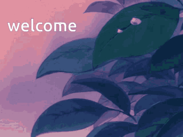 a picture of a plant with the word welcome written on it