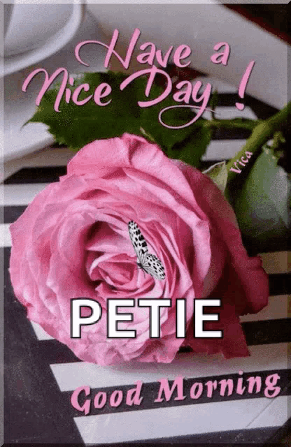 a pink rose with a butterfly on it and the name petie on it