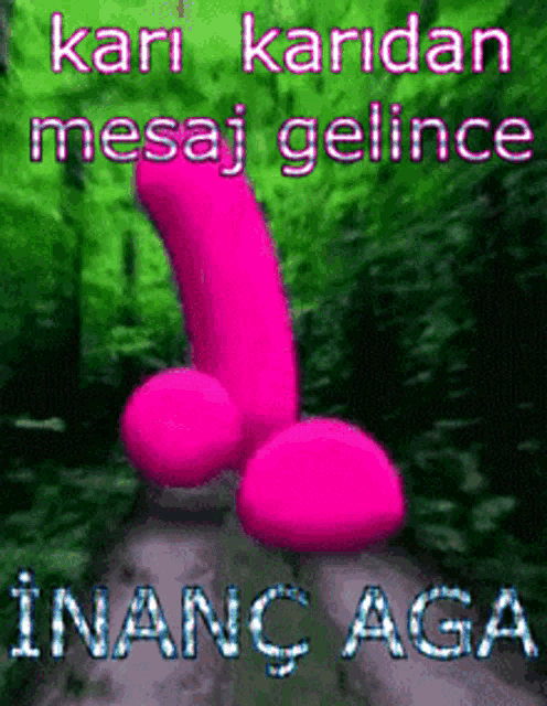 a picture of a pink penis with the words " inanc aga " on the bottom