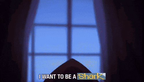 a window with the words i want to be a shark
