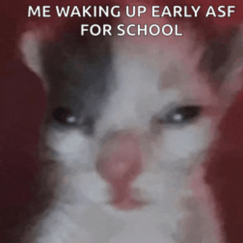 a close up of a cat with the words me waking up early asf for school written below it