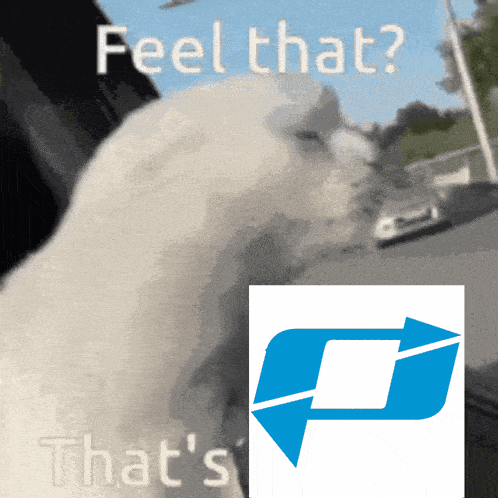 a picture of a cat and the words feel that that 's