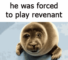 a picture of a seal with the words he was forced to play revenant on it .