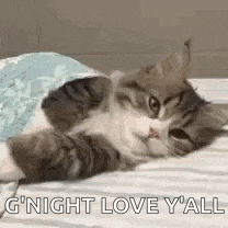 a cat is laying on a bed under a blanket with the words `` g night love y all '' written on it .