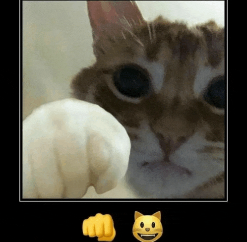a picture of a cat with a fist and a smiling cat emoji