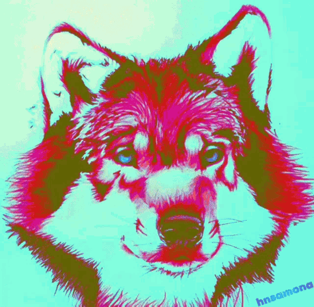 a colorful drawing of a wolf with the name hnsaimon on the bottom right corner