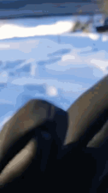 a close up of a person 's legs in a pool of water