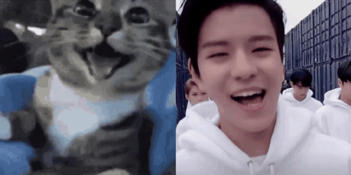 Seungmin Smile Cat Smile GIF - Seungmin Smile Seungmin Cat Smile GIFs