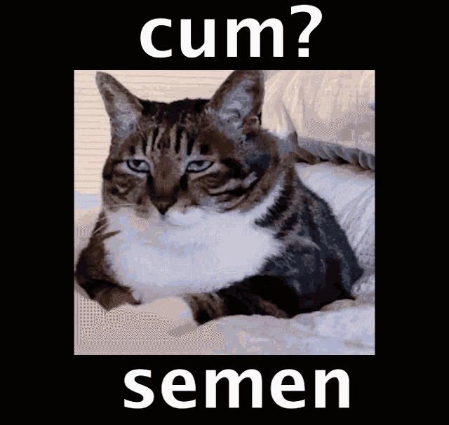 a picture of a cat laying on a bed with the words cum semen below it
