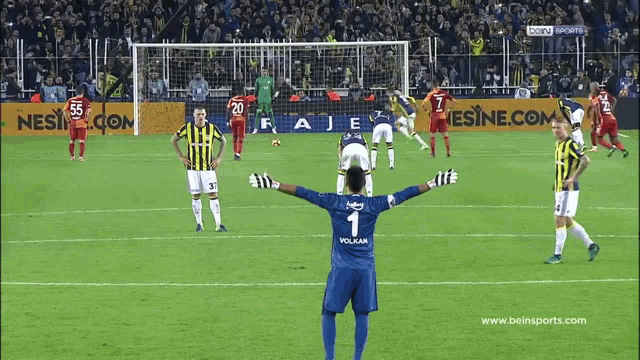 Fenerbahçe Gavatsaray GIF - Fenerbahçe Gavatsaray GIFs