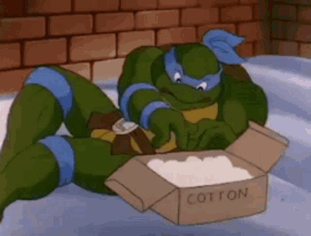 a teenage mutant ninja turtle is looking at a box of cotton