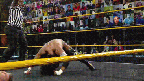 He Did It Fist Up GIF - He Did It Fist Up Wrestling GIFs