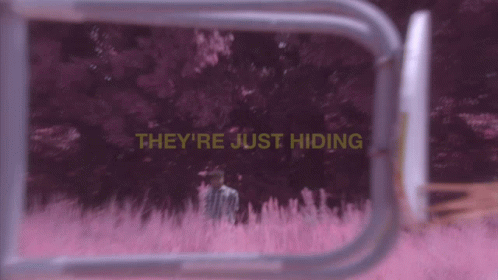 Theyre Just Hiding Hiding GIF - Theyre Just Hiding Hiding Hide GIFs