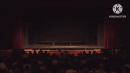 Theatre Audience Applause Spectators GIF - Theatre Audience Applause Spectators Cheering GIFs
