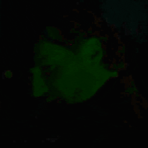 a man 's face is glowing green in the dark