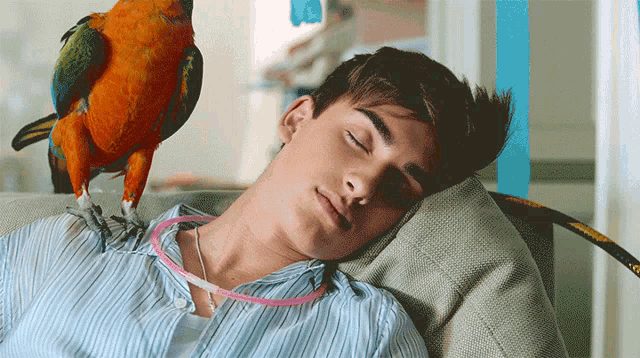 a man laying on a couch with a bird perched on his head