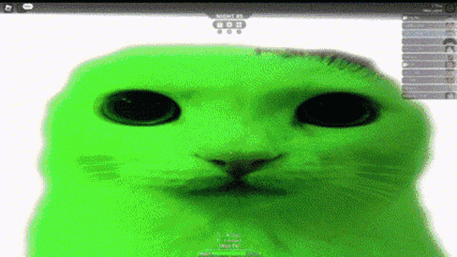 Cat Roblox GIF - Cat Roblox GIFs