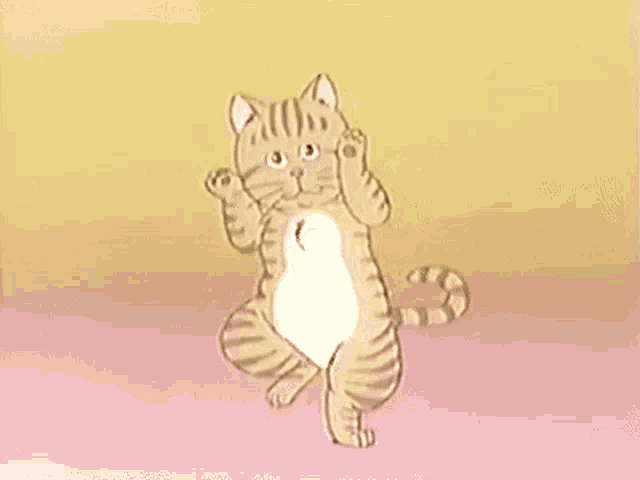 Whats Michael Cat GIF - Whats Michael Cat GIFs