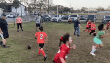 a group of children are playing soccer on a field . one of the children has the number 2 on his shirt .