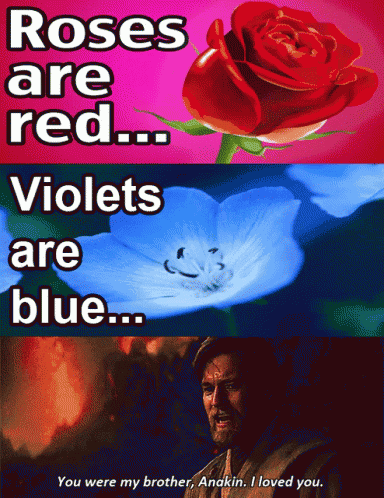 Valentines Poetry GIF - Valentines Poetry Anakin GIFs