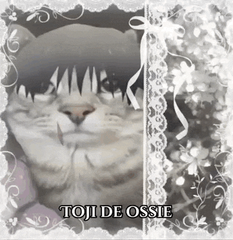 a black and white photo of a cat with a lace frame around it .