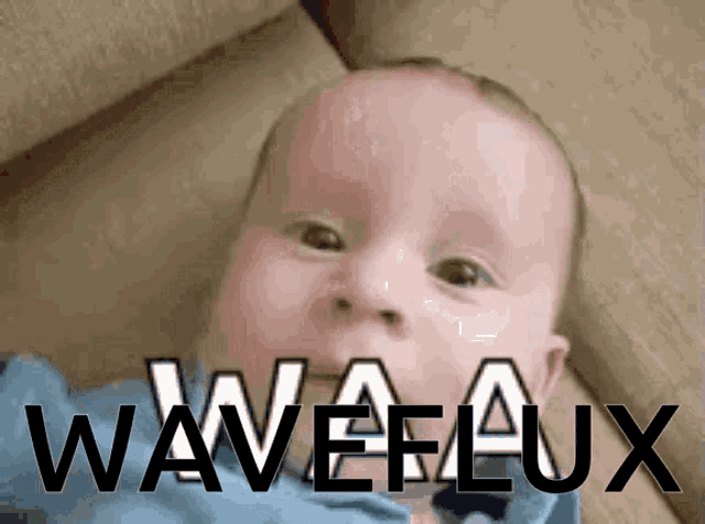 a baby is laying on a couch with the word waveflux written above him