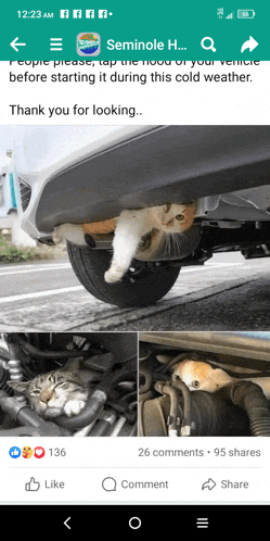 a cat is laying under the hood of a car on a facebook post
