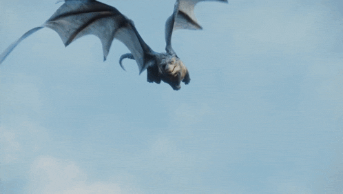a dragon with wings is flying in the sky