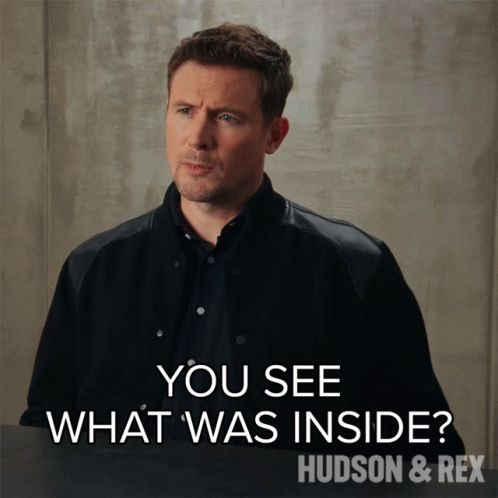 You See What Was Inside Charlie Hudson GIF - You See What Was Inside Charlie Hudson Hudson And Rex GIFs