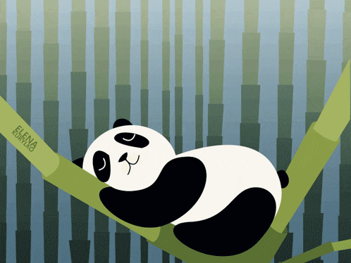 a panda bear sleeping on a bamboo branch with the name elena written on it