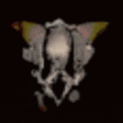 a blurred image of a person 's face on a black background .