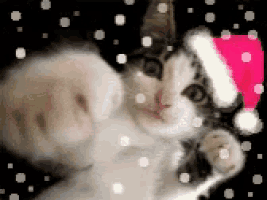 a kitten wearing a santa hat is laying in the snow .