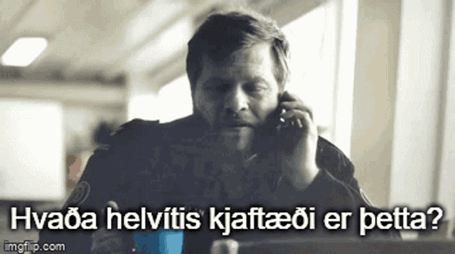 Valhalla Kjaftæði GIF - Valhalla Kjaftæði Phone Call GIFs