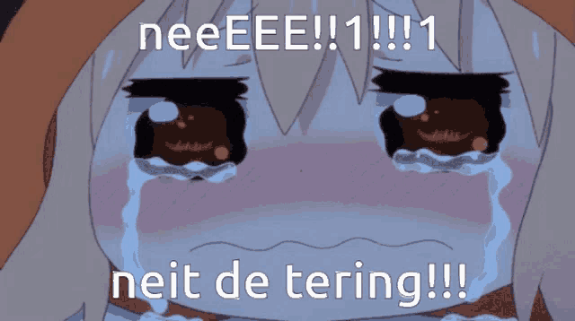 a cartoon girl is crying with the words neeee !!! 1 neit de tering !!! below her
