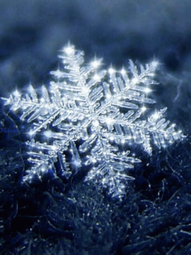 Snow Snowflake GIF - Snow Snowflake GIFs