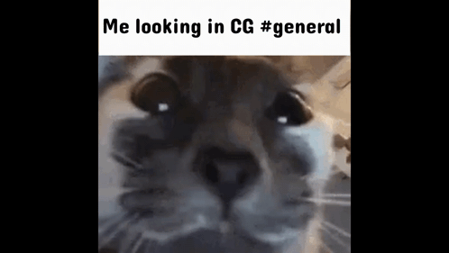 Looking In Cg General Looking In General GIF - Looking In Cg General Looking In General Cg GIFs