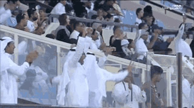 a group of people are standing in a stadium watching a game and applauding .