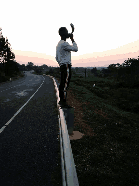 a man standing on a railing on the side of a highway blowing a horn